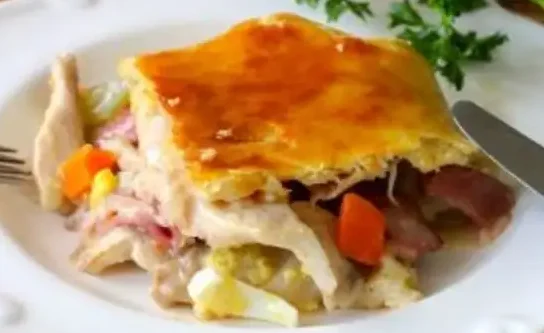 Découvrez le Hoenderpastei, une tourte de poulet délicieuse